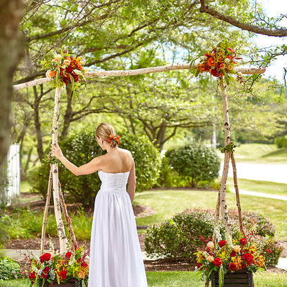 Arbor of Love Archway –  Castalia Flower Shoppe, Castalia OH