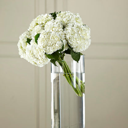 White Hydrangea Hand-Tied Bouquet –  Castalia Flower Shoppe, Castalia OH