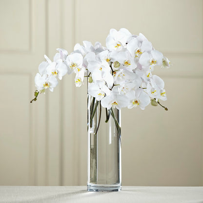 White Phalaenopsis Bouquet –  Castalia Flower Shoppe, Castalia OH