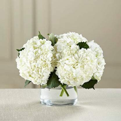 White Hydrangea Bouquet –  Castalia Flower Shoppe, Castalia OH
